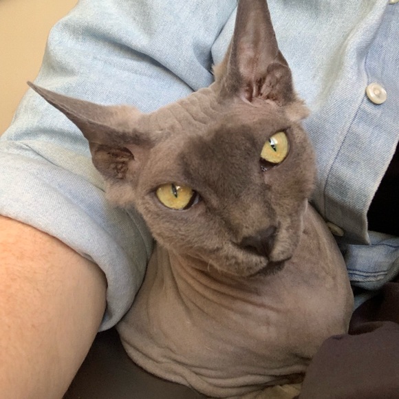 Meet your Posher, Margaret - Picture 1 of 1